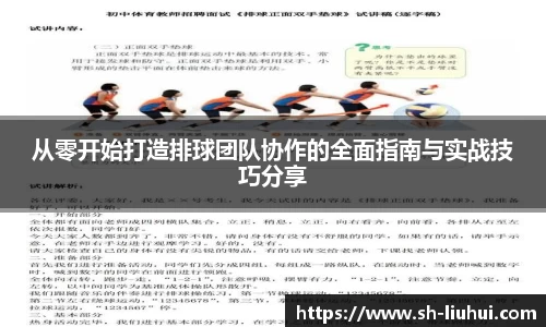 从零开始打造排球团队协作的全面指南与实战技巧分享